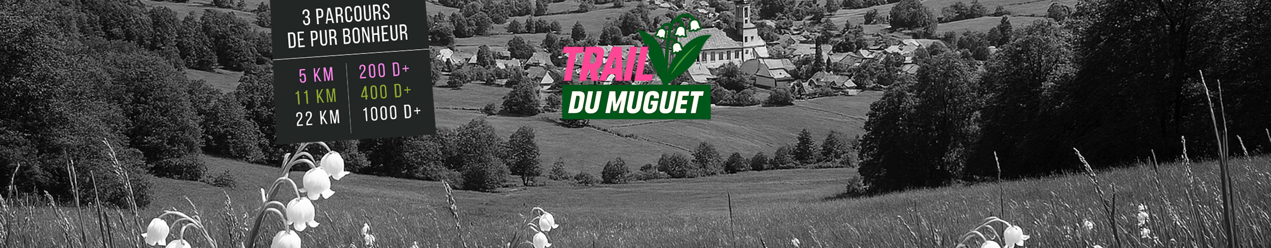 JUNGHOLTZ, THIERENBACH